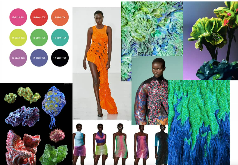 les couleurs tendances 2024
